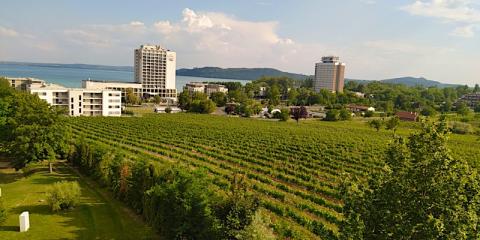 Sunset Hill Füred Apartman, 1 apartman 4 férőhely