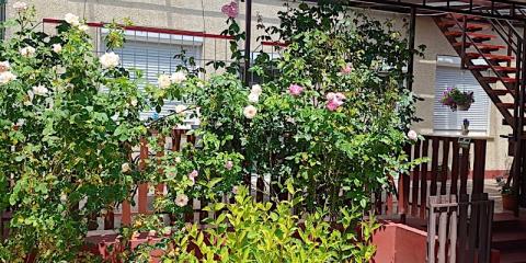 Györkös Vendégház, 4 szoba 10 férőhely