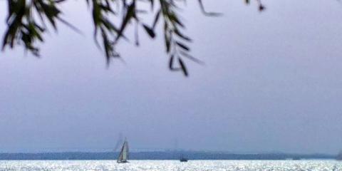 Pipitér Faház, 1 faház 4 férőhely