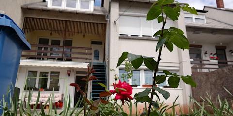 Napraforgó Vendégház, 1 szoba 4 férőhely