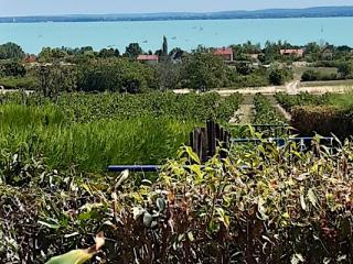 Kapitány Apartman, 1 apartman 5 férőhely