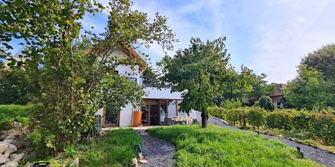 Szilva és Dió Présház Szent György-hegy, 2 szoba 4 férőhely