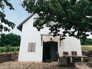 Kőtulipán Vendégház, 1 szoba 4 férőhely