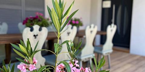 Dekorellá Tó Vendégház, 7 szoba 16 férőhely