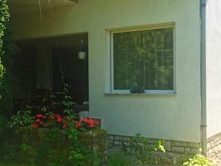 Kaméleon Apartmanház, 1 apartman 4 férőhely