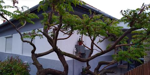 BB Ház Apartman, 1 apartman 7 férőhely