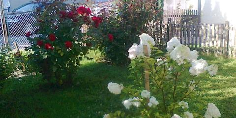 Juhar Vendégház, 4 szoba 9 férőhely