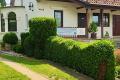 Csopaki Hajós Apartman, 2 apartman 12 férőhely