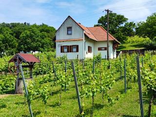 Mórocz Ház, 1 apartman 4 férőhely