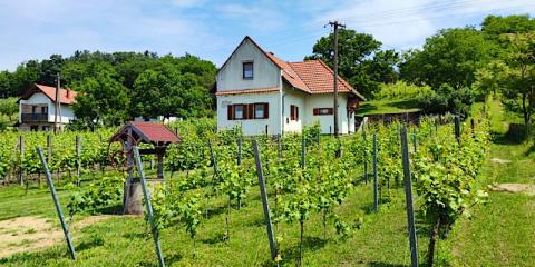Mórocz Ház, 1 apartman 4 férőhely