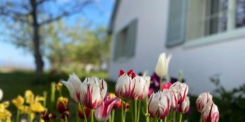 Diótörő Vendégház, 1 szoba 4 férőhely