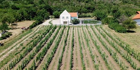 MCS Apartman, 1 apartman 4 férőhely