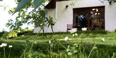 Suttogó Vendégház, 1 szoba 2 férőhely