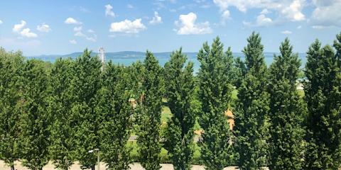 Napospart Apartman, 1 apartman 2 férőhely