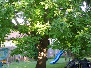 ÁG Vendégház, 3 szoba 6 férőhely