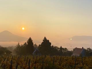 Schatz Home Vendégház Szent György-hegy, 2 szoba 2 férőhely