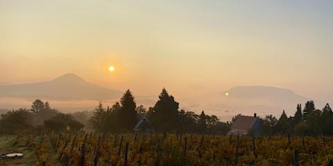 Schatz Home Vendégház Szent György-hegy, 2 szoba 2 férőhely