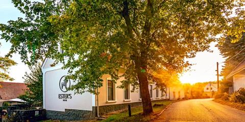 Ester#039;s Panzió, 7 szoba 14 férőhely