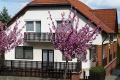 Lekics Ház, 1 apartman 2 férőhely
