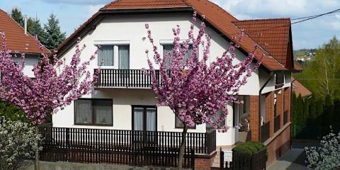 Lekics Ház, 1 apartman 2 férőhely