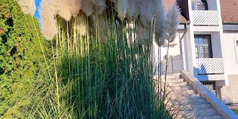 Napfény Villa, 6 szoba 14 férőhely