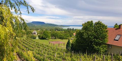 Szabó Pince Vendégház, 4 szoba 12 férőhely