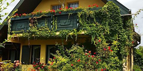 Trófea Apartman, 1 apartman 6 férőhely