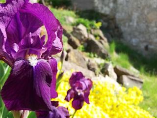 Napraforgó Turistaszálló, 6 szoba 28 férőhely