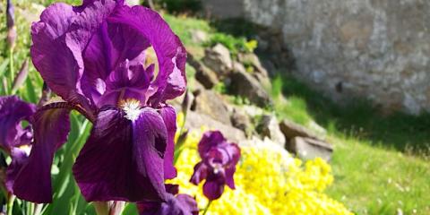 Napraforgó Turistaszálló, 6 szoba 28 férőhely