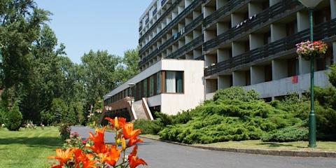 Riviéra Park Hotel, 84 szoba 105 férőhely