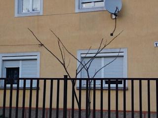 Lesch Magánház, 3 szoba 6 férőhely