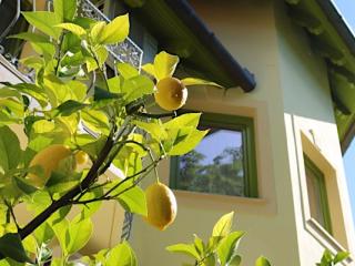 Melinda Villa, 6 szoba 15 férőhely