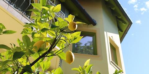 Melinda Villa, 6 szoba 15 férőhely