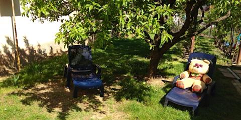 Teddy Bear House, 1 apartman 8 férőhely