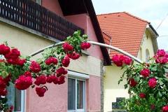 Panni Néni Apartman, 1 apartman 6 férőhely