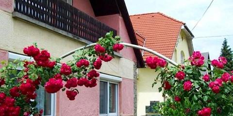 Panni Néni Apartman, 1 apartman 6 férőhely