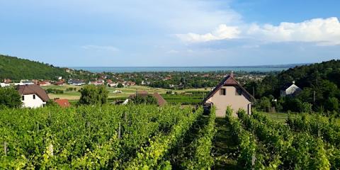 Lekics Pince és Vendégház, 2 szoba 4 férőhely