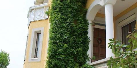 Vadszőlő Vendégház, 4 szoba 8 férőhely