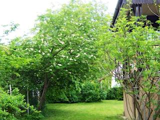 Laura Apartman, 1 apartman 4 férőhely