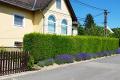 Török Apartman, 2 apartman 6 férőhely