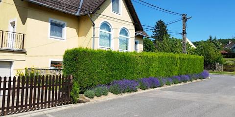 Török Apartman, 2 apartman 6 férőhely