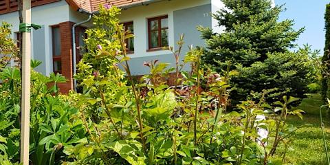 Ginavilla, 5 apartman 10 férőhely