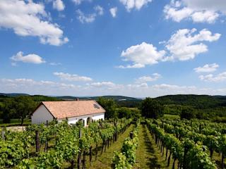 Káli Panoráma Présház, 1 apartman 8 férőhely