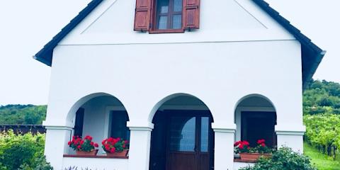 Balaton Felvidéki Fehér Porta, 1 szoba 4 férőhely