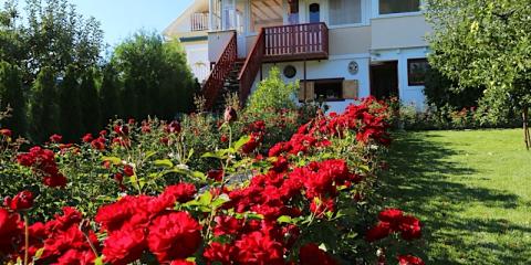 Rózsakert Vendégház, 4 szoba 12 férőhely