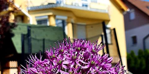 Li-Do Vendégház, 7 szoba 16 férőhely