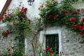 Kapolcs Cottage Vendégház, 1 szoba 4 férőhely