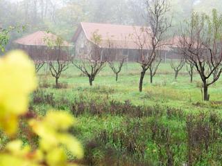Feketebács Nyaralóház, 3 szoba 4 férőhely