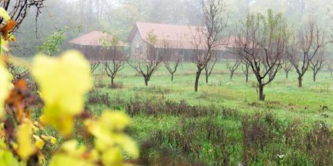 Feketebács Nyaralóház, 3 szoba 4 férőhely