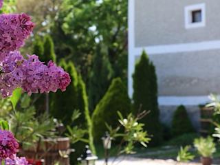 Granarius Udvarház, 6 szoba 16 férőhely